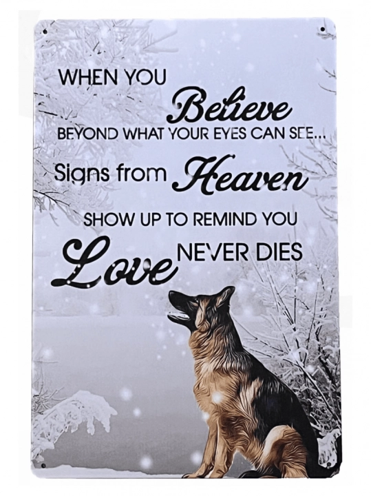 0067_20231111_135807